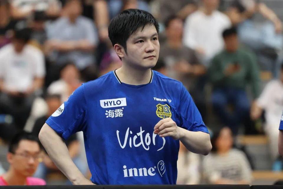 被灰熊掌控 被灰熊掌控