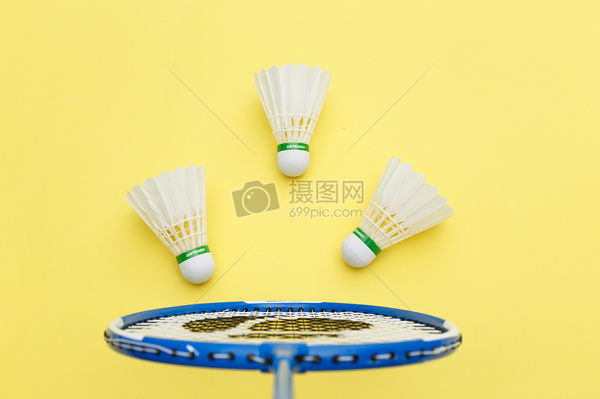 可替代性 可替代性