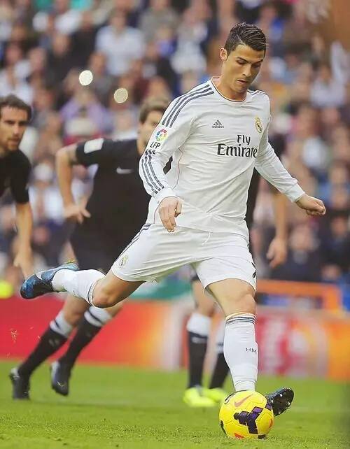 优化标题 优化标题