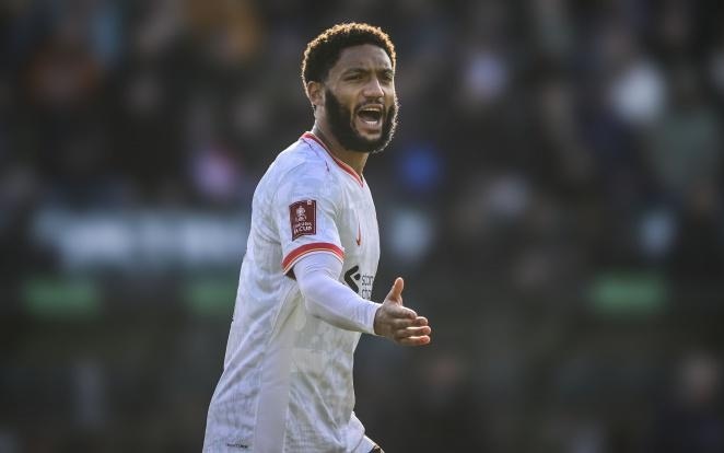 可直接使用 可直接使用